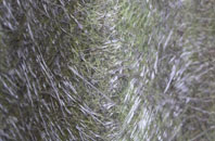 Llanspyddid fibreglass roof work